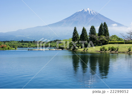 初夏の田貫湖と富士山 初夏の田貫湖と富士山 22299052