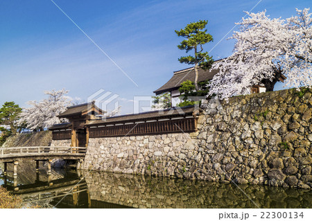 信州 長野市松代 松代城(海津城)の太鼓門と桜 信州 長野市松代 松代城(海津城)の太鼓門と桜 22300134