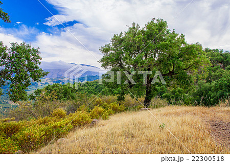 Beautiful panorama of the distant mountains Beautiful panorama of the distant mountains 22300518
