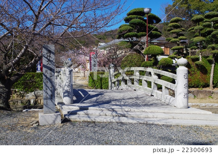 小豆島の常光寺 小豆島の常光寺 22300693