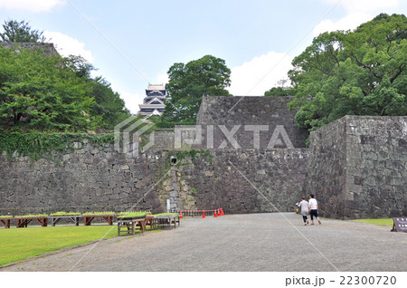 熊本城の石垣 22300720