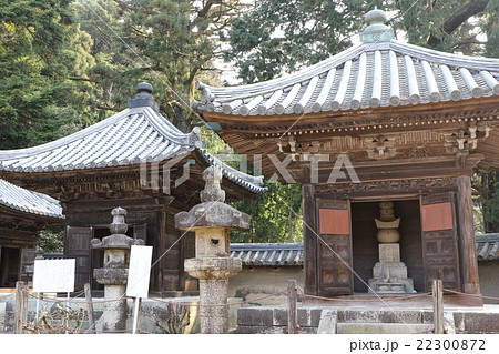 円教寺 円教寺 22300872