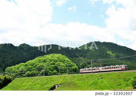 新緑の築堤を走る東武日光線のローカル電車 22301607