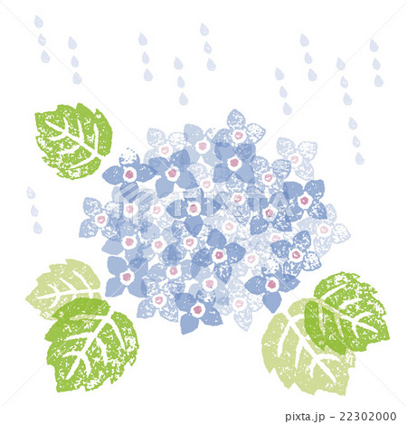 梅雨 雨と紫陽花の花のイラスト素材