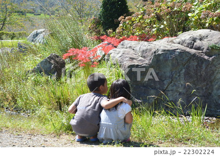 彼岸 彼岸 22302224