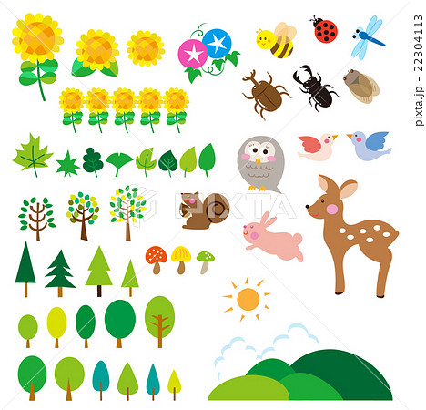 夏の森 動物たち 昆虫 セット のイラスト素材
