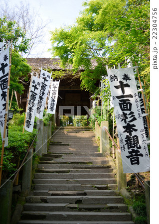 杉本寺（鎌倉） 22304756