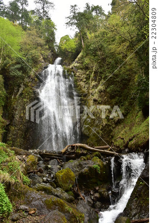 秋田県・抱返り渓谷、回顧の滝 22304809