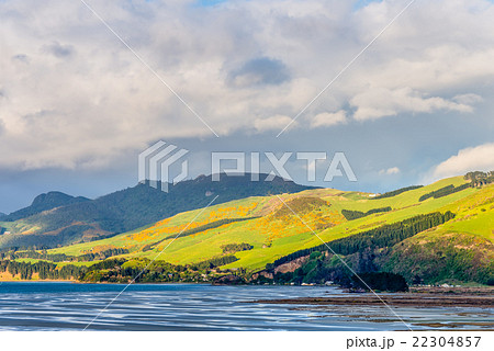 New Zealand Otago Region coastal landscape 22304857