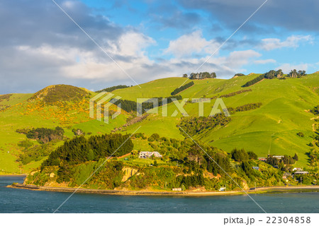 New Zealand Otago Region coastal landscape 22304858
