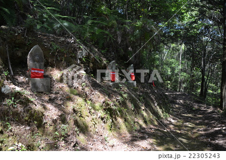 ミニ八十八ヶ所のお地蔵さん ミニ八十八ヶ所のお地蔵さん 22305243