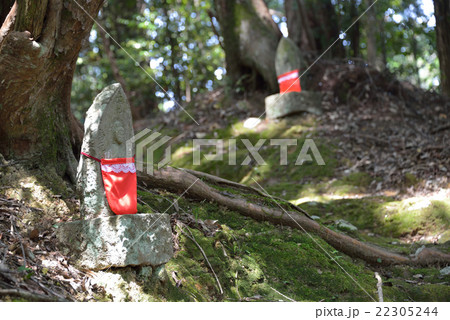 ミニ八十八ヶ所のお地蔵さん 22305244