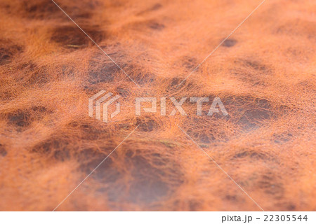 ヌメ革　背景 22305544