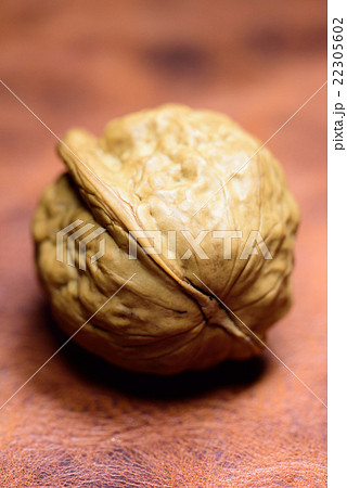 胡桃 胡桃 22305602