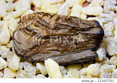 乳香・フランキンセンス 乳香・フランキンセンス 22305701