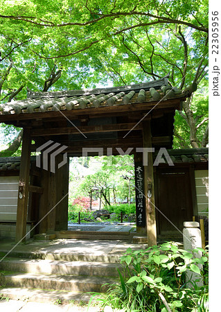 瑞泉寺(鎌倉) 瑞泉寺(鎌倉) 22305956