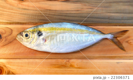 fresh yellow stripe trevally fish 22306371
