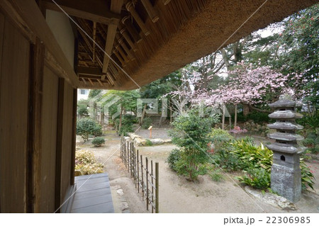 浜松市　重要文化財　中村家住宅 22306985