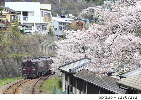 春のわたらせ渓谷鉄道 春のわたらせ渓谷鉄道 22307232