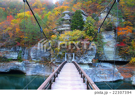 秋の塔のへつり 22307394