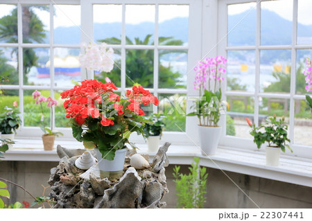 グラバー邸 22307441