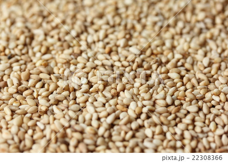 白胡麻 白胡麻 22308366