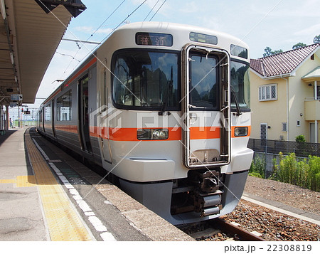 身延線313系 22308819
