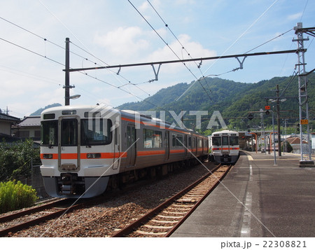 身延線313系 22308821