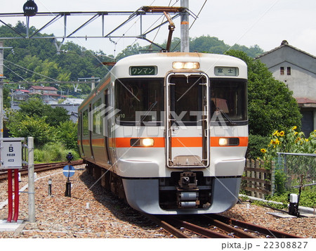 身延線313系 22308827