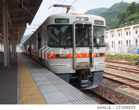 身延線313系 22308830