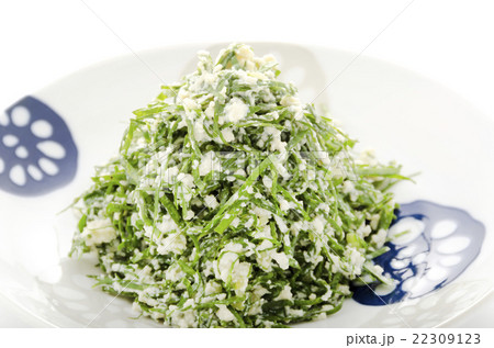 ニガナの白和え アップ ニガナの白和え アップ 22309123