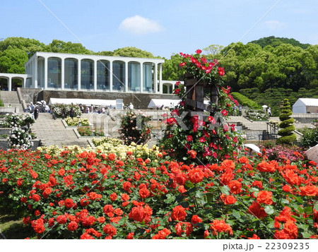 兵庫県神戸市須磨区の丘陵に広がる広大な都市公園「須磨離宮公園」 兵庫県神戸市須磨区の丘陵に広がる広大な都市公園「須磨離宮公園」 22309235