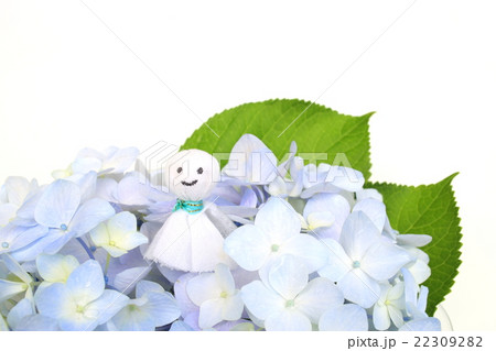 梅雨 22309282