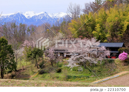 信州の田園風景 信州の田園風景 22310700