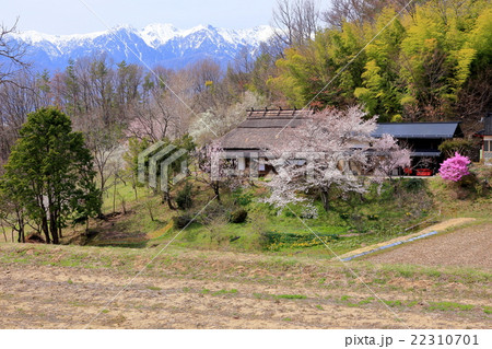 信州の田園風景 22310701