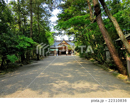 安宅の関・遊歩道より・安宅住吉神社(2) 安宅の関・遊歩道より・安宅住吉神社(2) 22310836