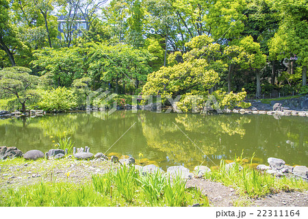 浅草寺にある伝法院庭園（東京都台東区） 22311164