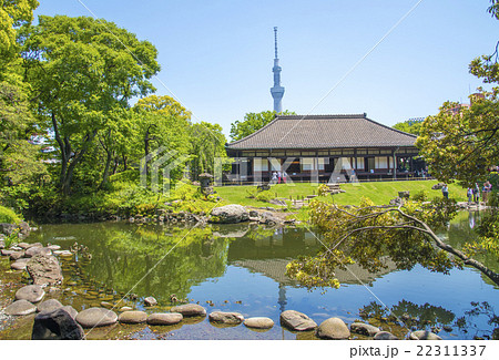 浅草寺にある伝法院庭園と大書院（東京都台東区） 22311337