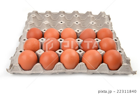 eggs in paper tray eggs in paper tray 22311840