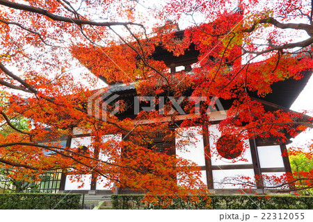 紅葉の京都 22312055