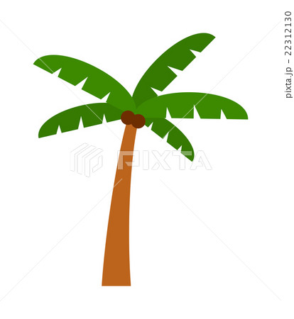 Palm Isolated Vector のイラスト素材