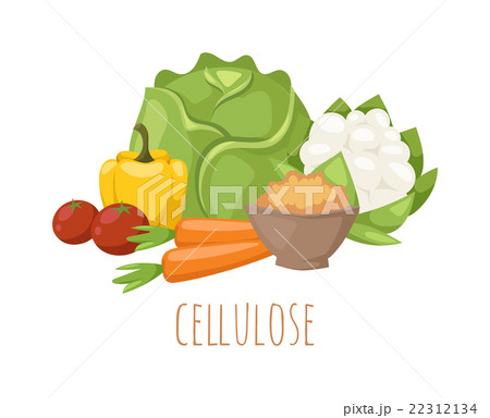 Cellulose food vector illustration. 22312134