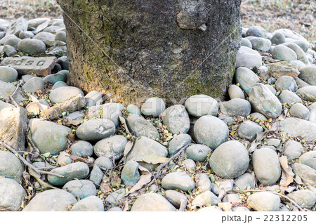 Stone background Stone background 22312205