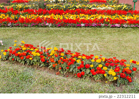 garden garden 22312211