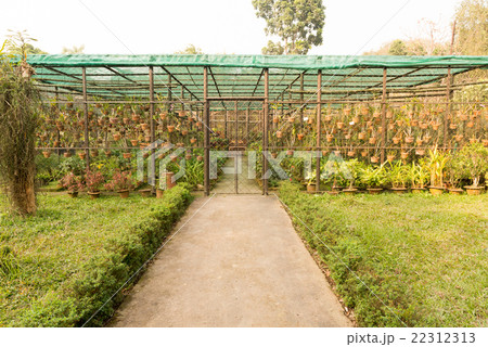 garden garden 22312313