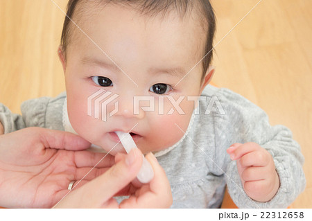 6 months old 6 months old 22312658