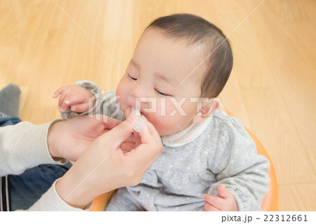 6 months old 6 months old 22312661