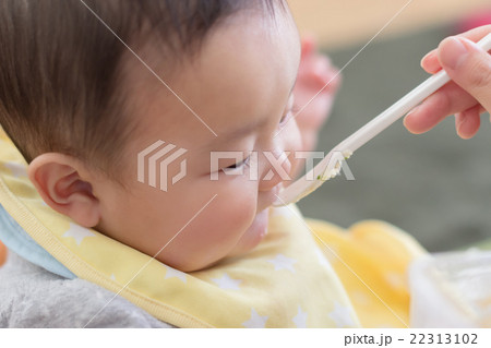 6 months old 22313102