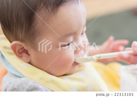 6 months old 22313103