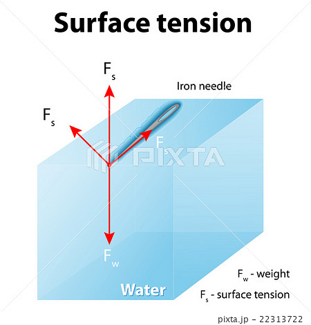 Surface tension 22313722
